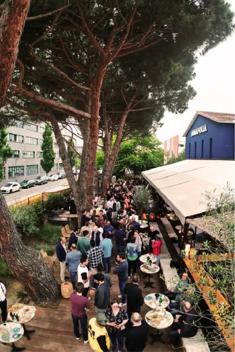 amafolia terrasse pins 1