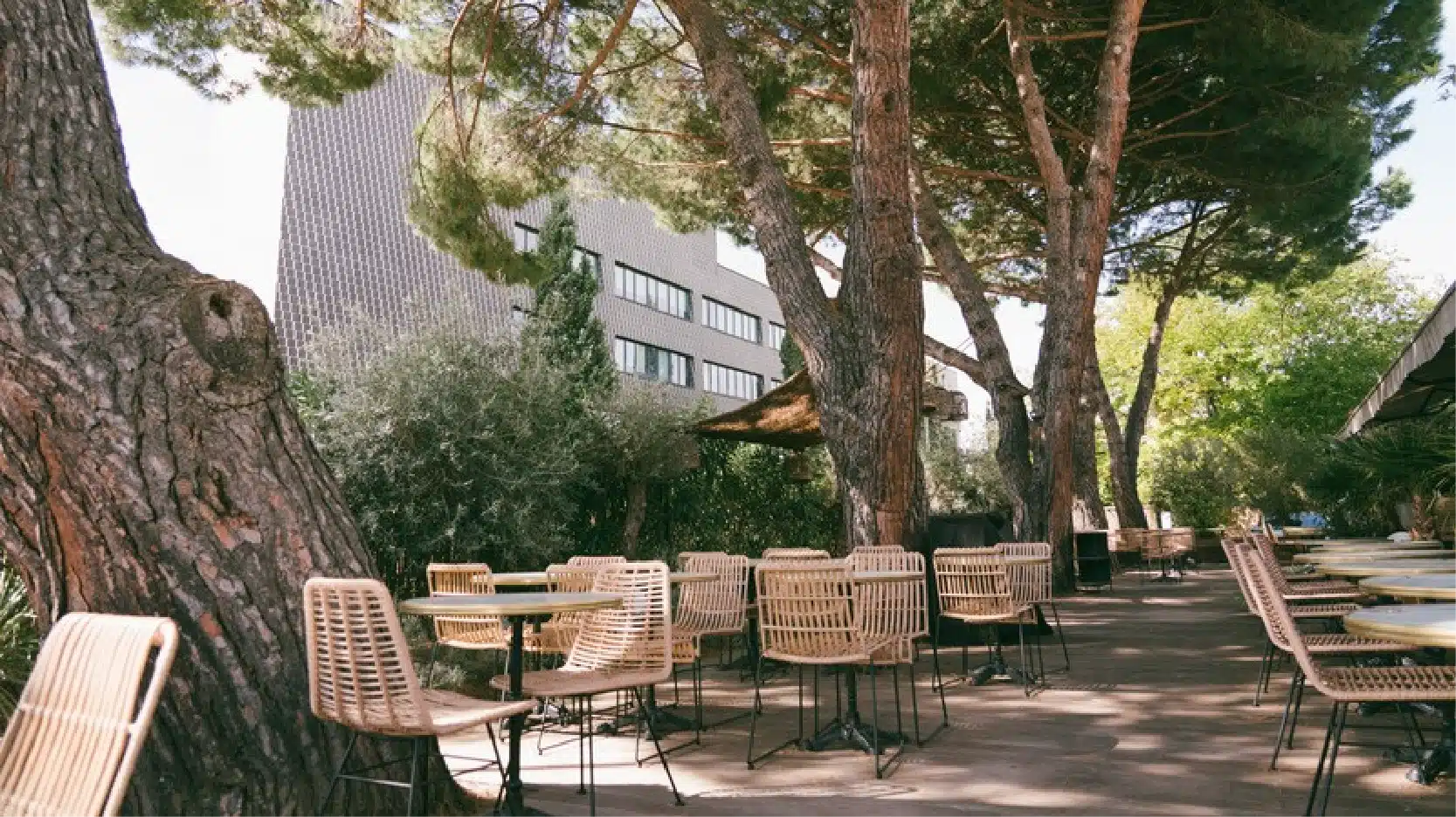 amafolia terrasse pins 2