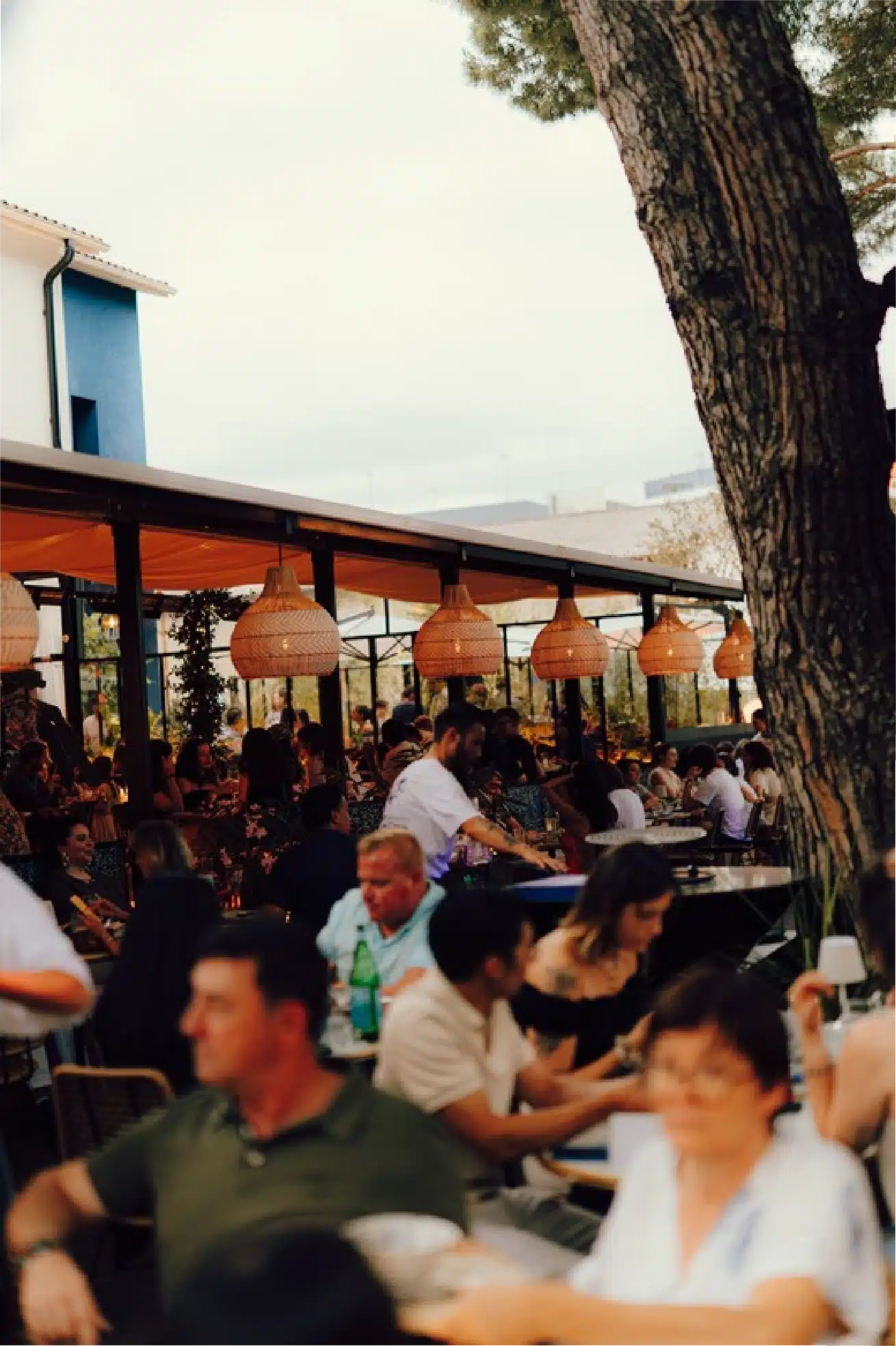 amafolia terrasse pins 3